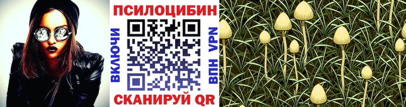 Купить где Невельск Псилоцибиновые грибы ЛСД